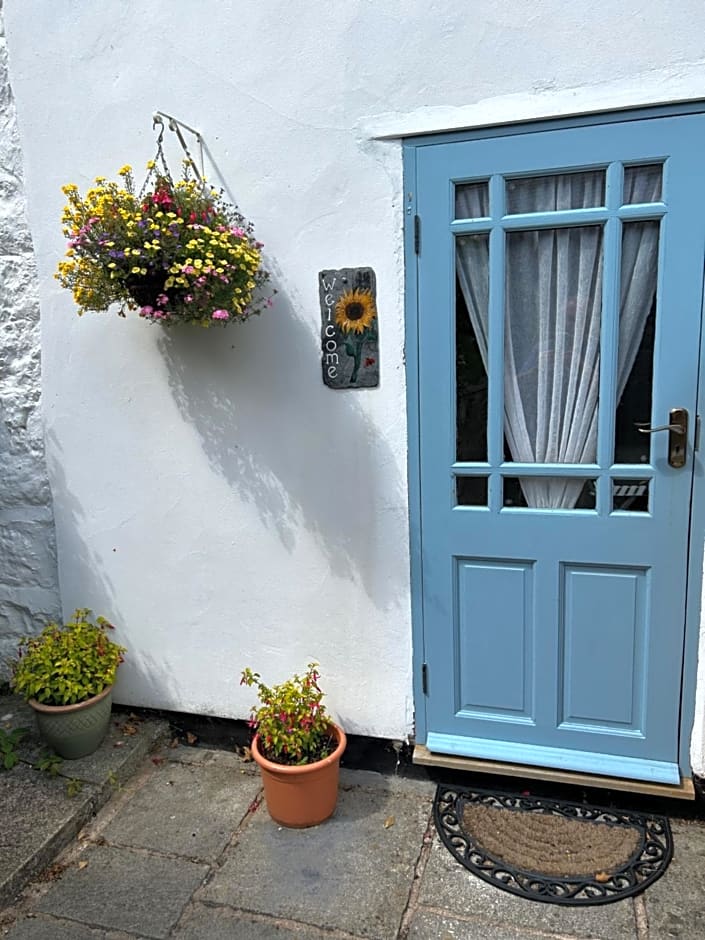 Y Felin Bed and Breakfast and Smallholding