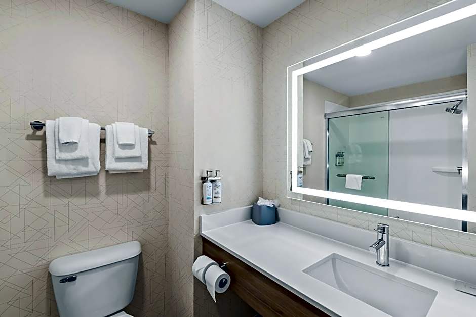 Holiday Inn Express Hotel & Suites Council Bluffs - Convention Center Area By IHG