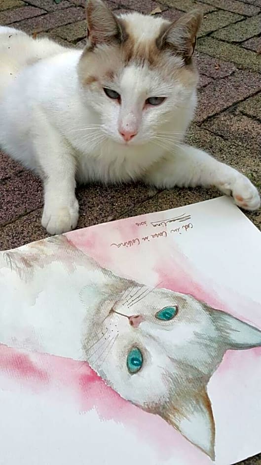 B&B La Casa in Collina