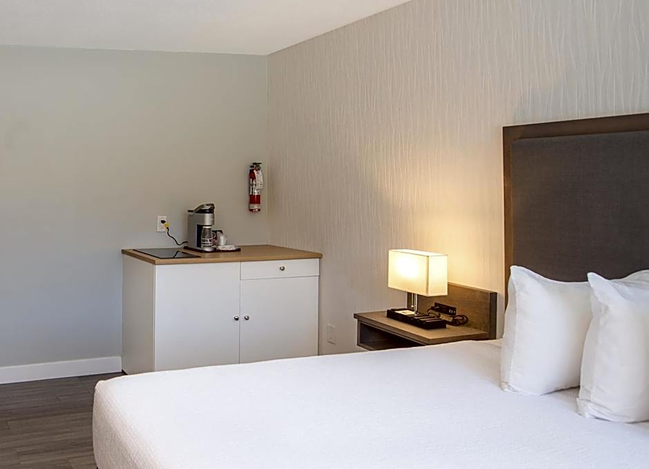 The Spot at Porpoise Bay