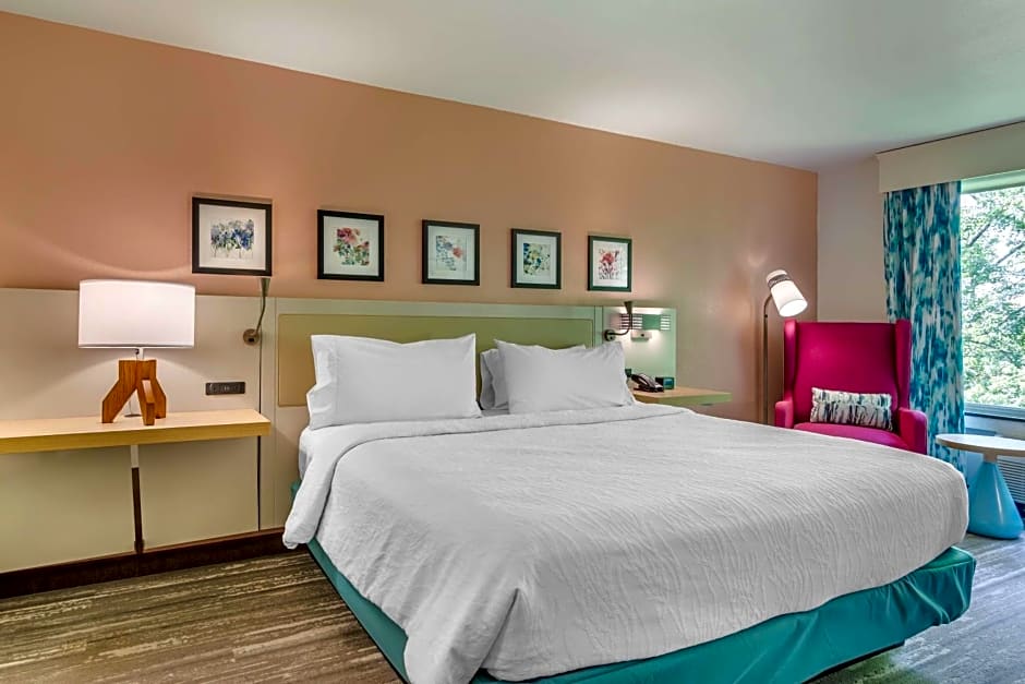 Hilton Garden Inn Atlanta Ne/Gwinnett Sugarloaf