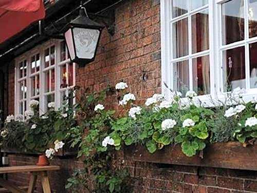 The Bull on the Green