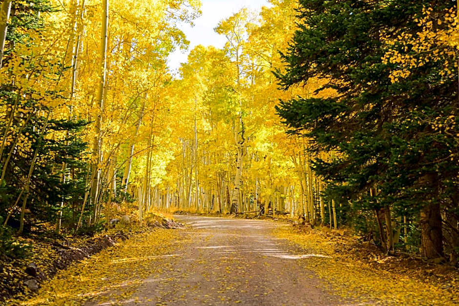 Iron Springs Luxury Lodge & Spa