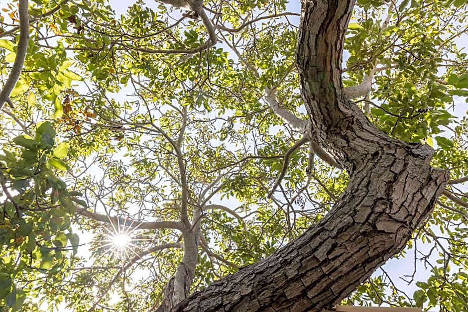 Trulli Mest'Andrea alle lame