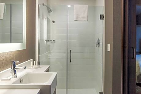 Studio Accessible King Size Bed