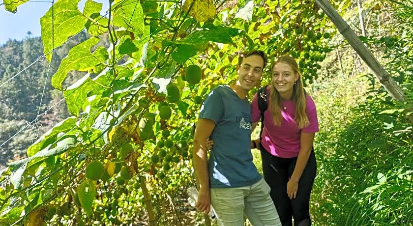 Longji Holiday Hotel