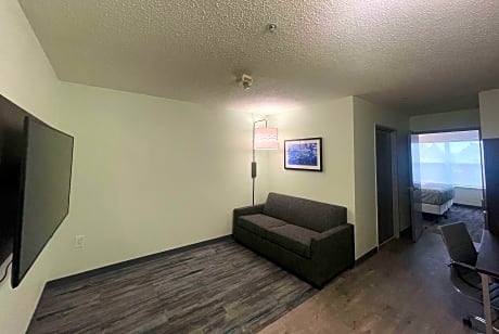 1 King Bed One-Bedroom Deluxe Suite Non-Smoking