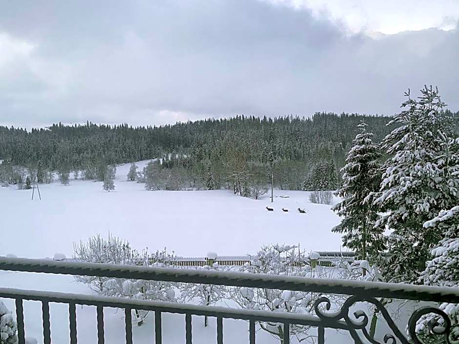 MODRZEW - noclegi w Pyzówce