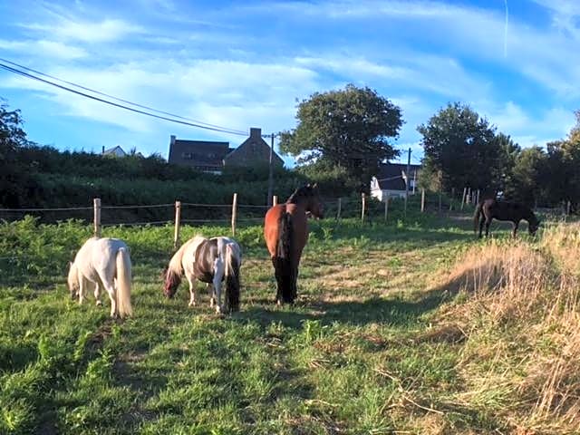 Les Fermes de Kercadoret