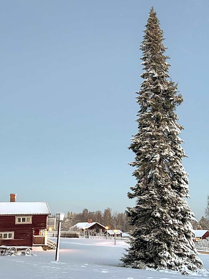 Hotell Gyllene Hornet