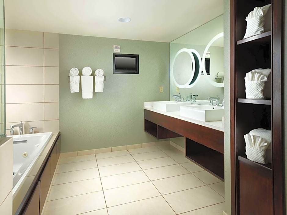 DoubleTree by Hilton Hotel Chattanooga Downtown