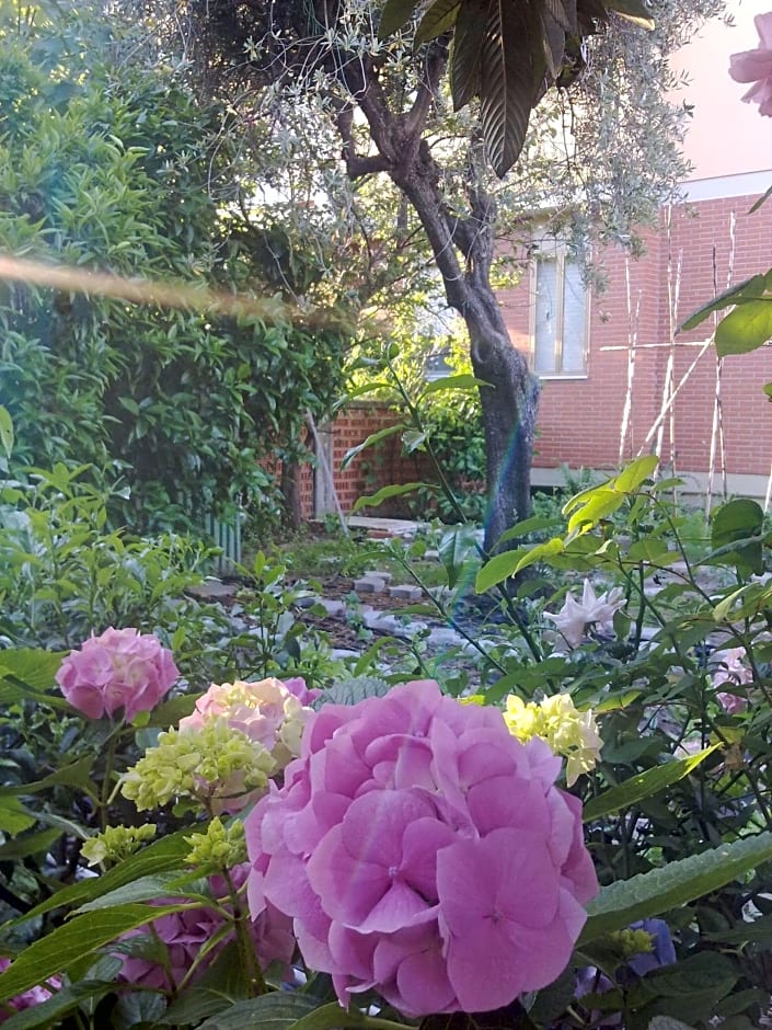 Eco Bed & Breakfast I Due Oleandri – Marina di Carrara, WI