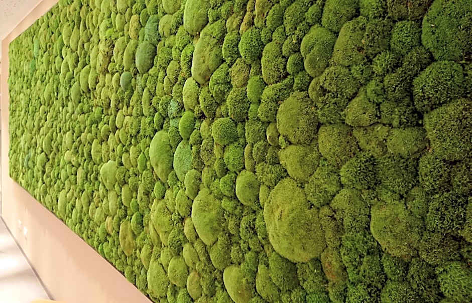 Adesso Hotel Göttingen