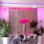 Hollywood VIP Hotel