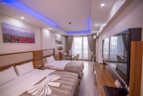 Double or Twin Room with Mountain View