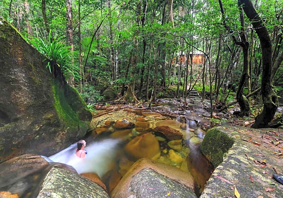 Daintree Cascades