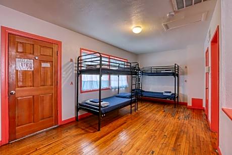 Bed in 8 Bed Mixed AC Dormitory with Ensuite Bathroom