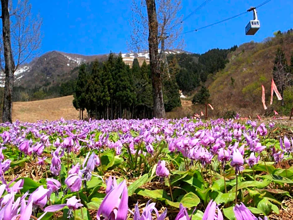 Pension Come Western style room with bath and toilet - Vacation STAY 14966