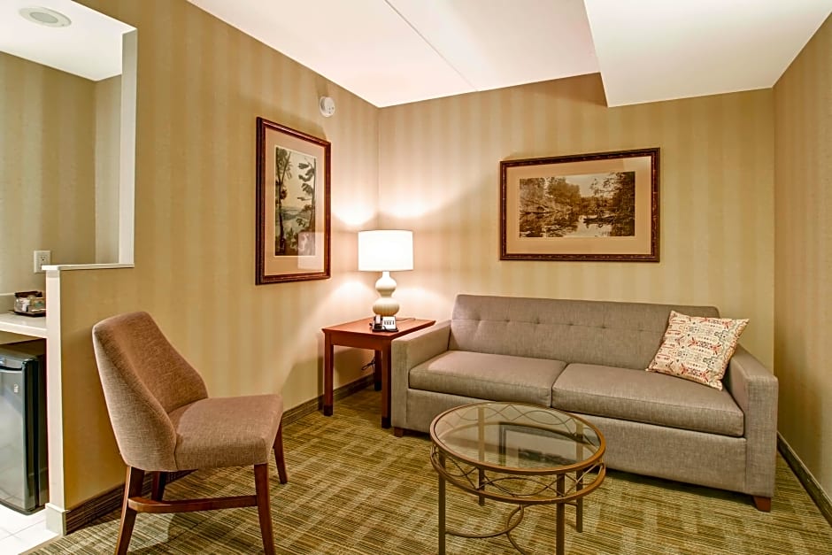 Photo 1 of 8 of 1 King Bed Suite, View