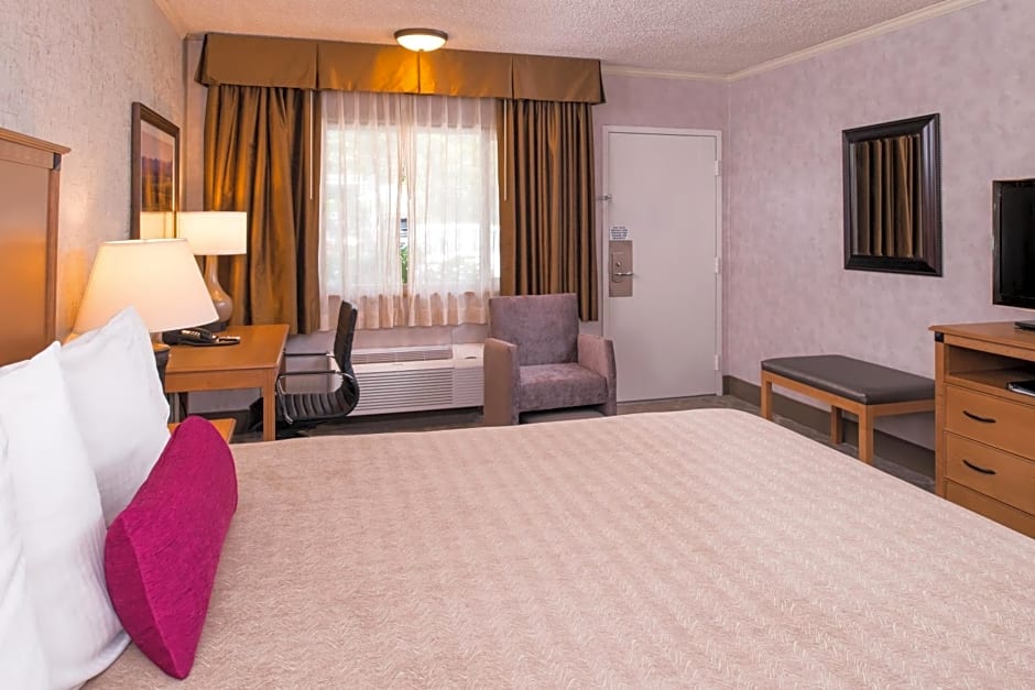 Best Western Plus Black Oak