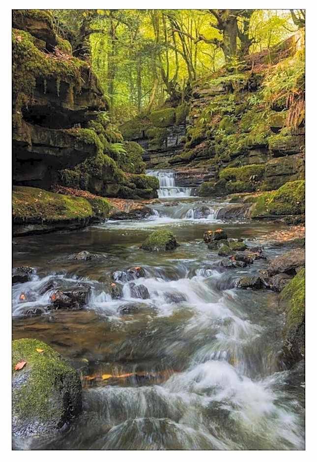 Bedwellty Lodge near BikePark Wales