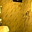 Gaia Holiday Home