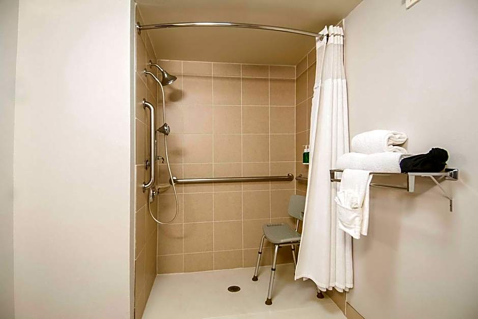 Fairfield Inn & Suites by Marriott Dallas Dfw Airport South/Irving