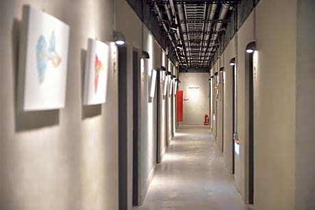 1 Bunk Bed in Dormitory - Female Only