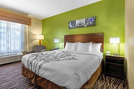 Double Room with King Bed - Non-Smoking