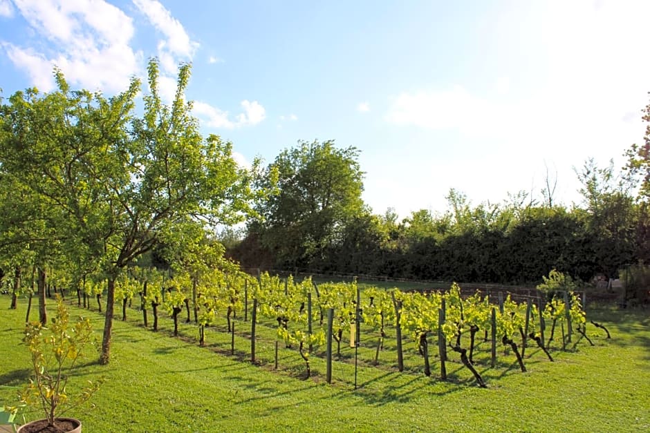 La Vigneraie de Laura