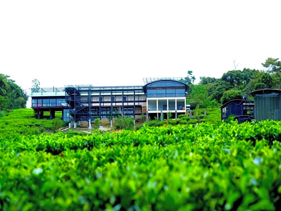 The Rainforest Ecolodge