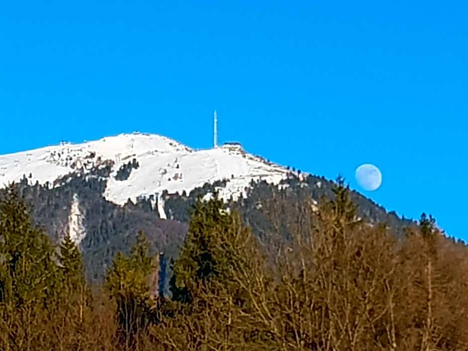 Domačija Vodnik & Apartments
