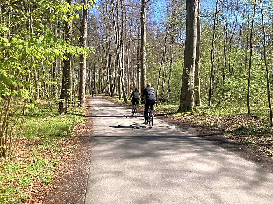 Radison Houses with a garden - Domki z ogródkiem Radison