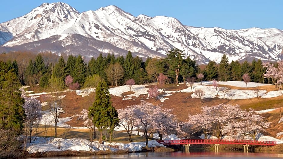 Log Pension Tomsoya