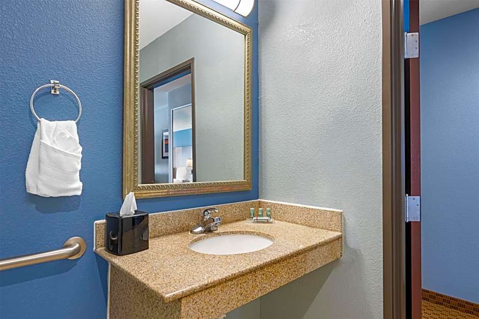 Best Western South Plains Inn & Suites