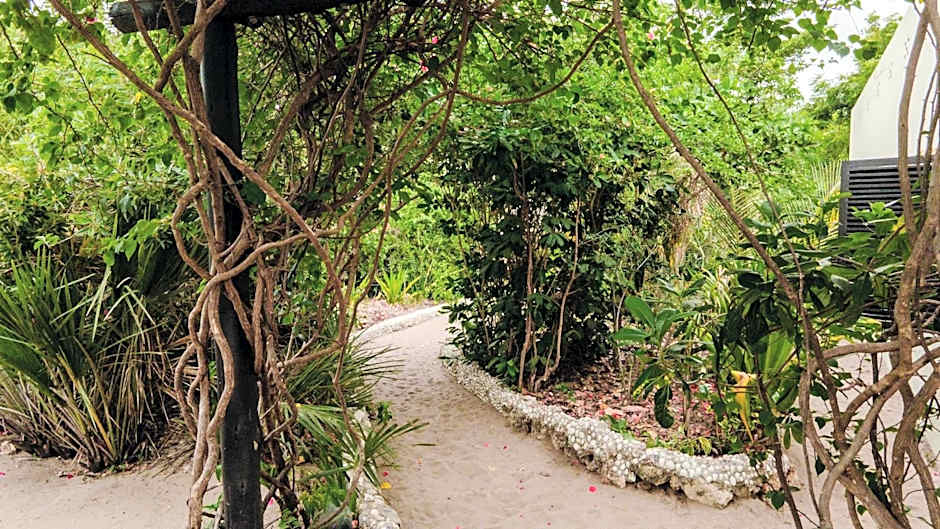 The Slow Leopard Kilwa