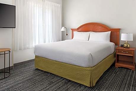 Studio, 1 King Bed with Sofa bed (1 King Bed and 1 Double Sofa Bed)