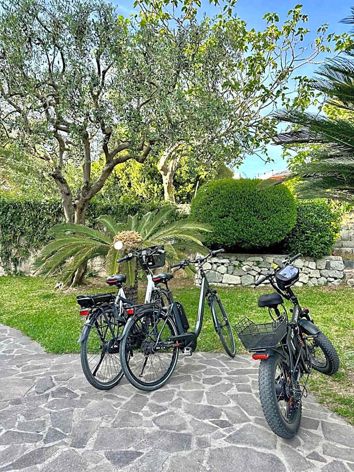 Hotel Boutique Ideal