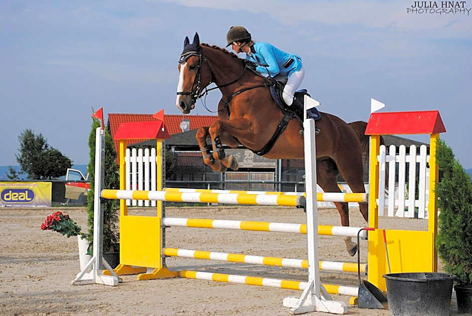 Hotel Szary Residence