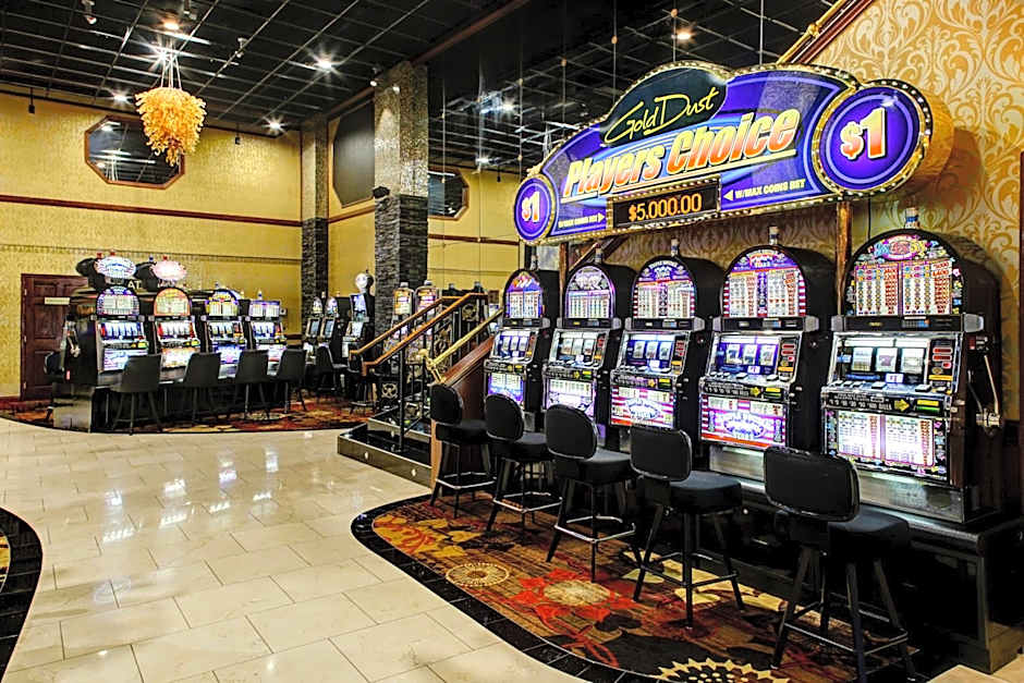 The Hotel by Gold Dust