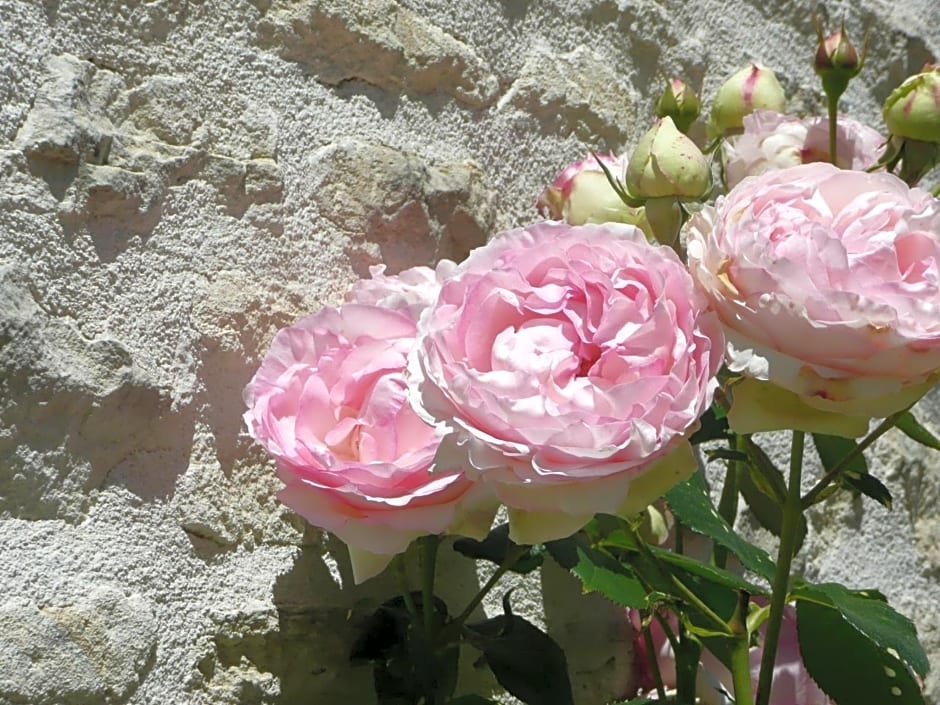 Le Clos Du Plantis – Sonnac, Aveyron, PA