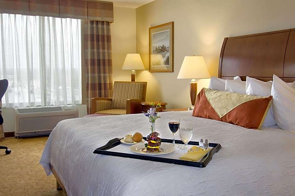 Hilton Garden Inn Cleveland East/Mayfield Village