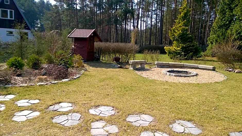 Bory Tucholskie Domek