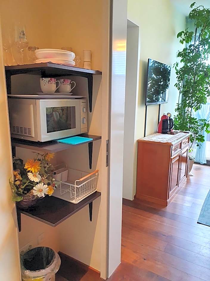 LUXUSAPPARTEMENT mitten in Leipzig Neueröffnung !