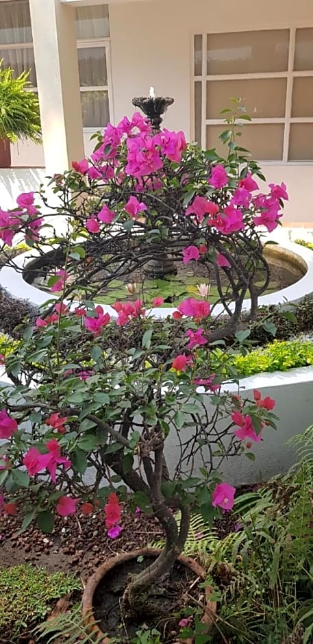 Hotel Posada Quinta Las Flores