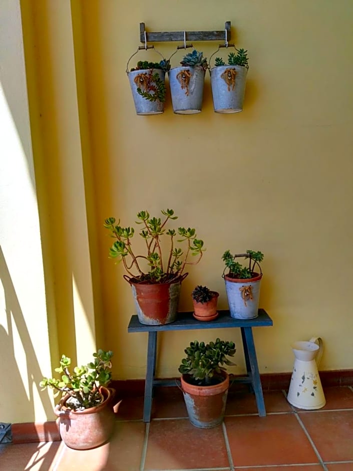 B&B Casa Piras IUN3880