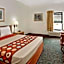Super 8 by Wyndham Hampshire IL