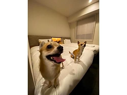 ICI HOTEL Asakusabashi - Vacation STAY 69309v