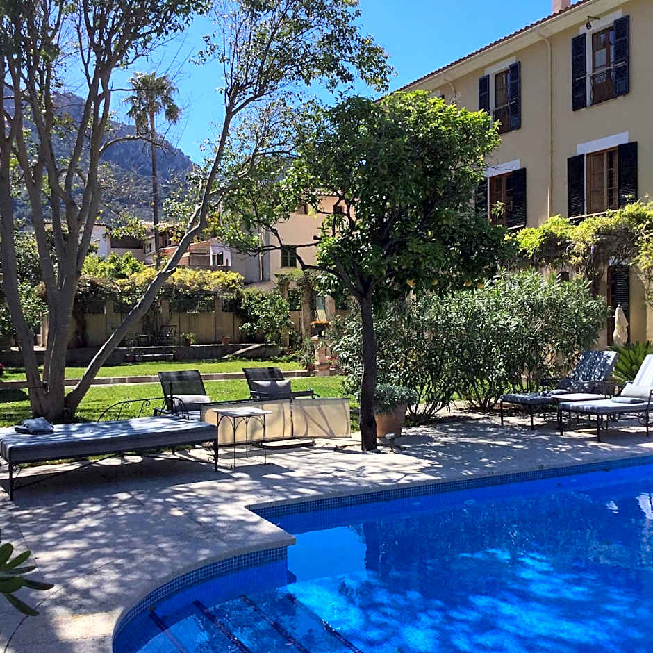 The Salvia - Adults Only