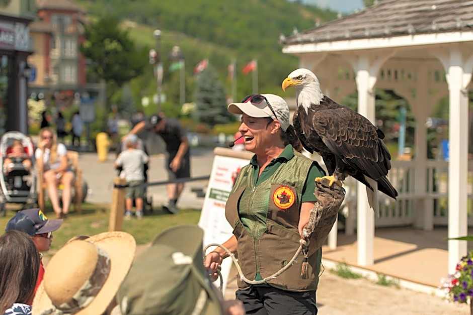 The Westin Trillium House, Blue Mountain